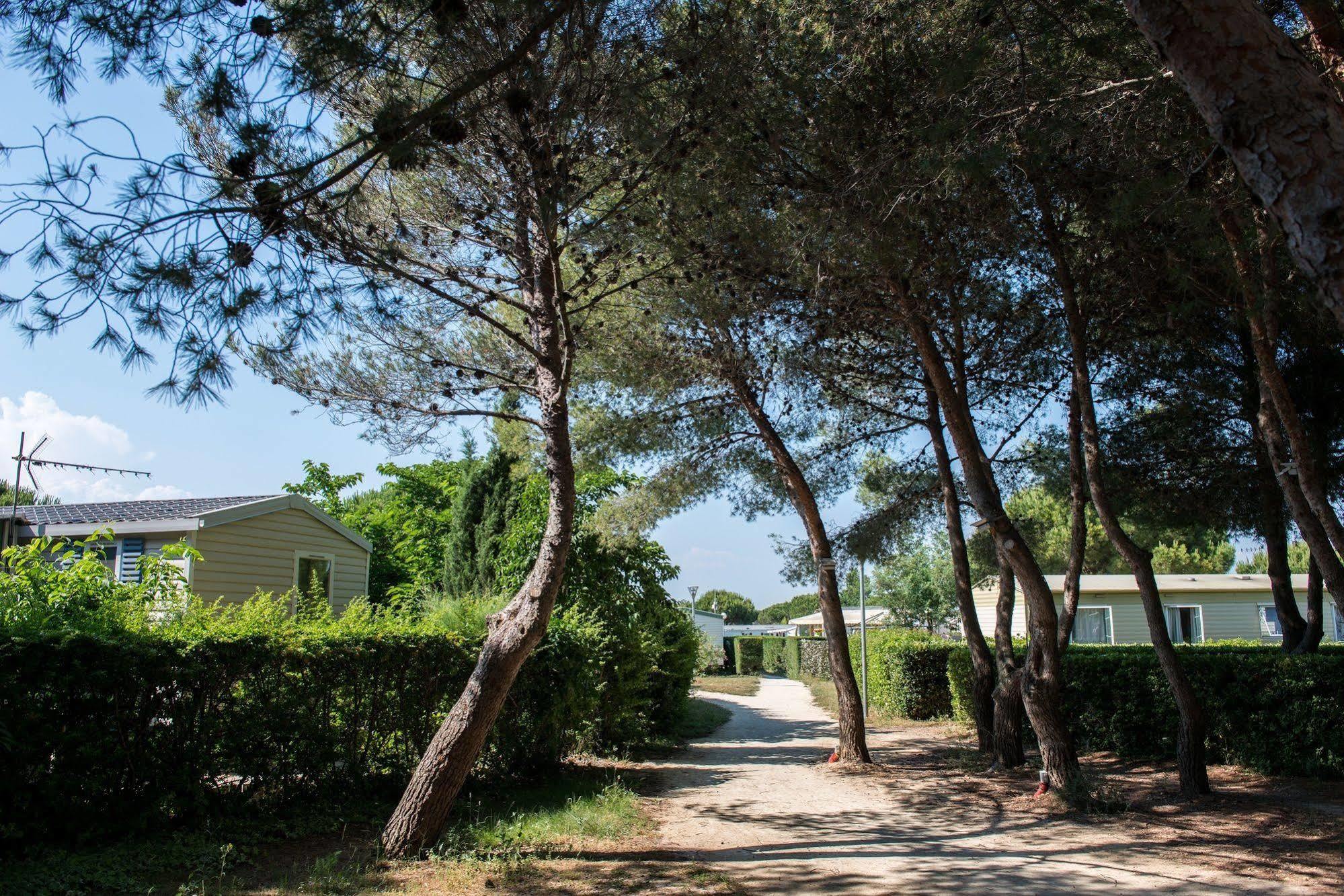 Camping Officiel Siblu Le Lac des Rêves Lattes Exterior foto
